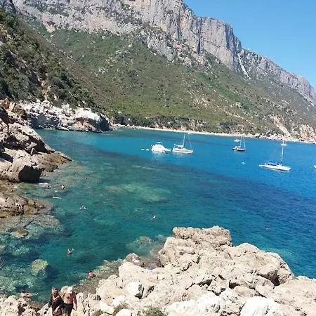 Dommu Amsicora アパート